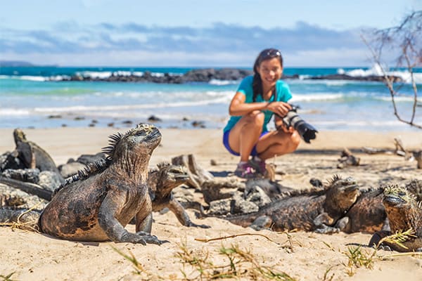 Santa Cruz II (HRTG) - Western - Iconic Wildlife & Sublime Scenery