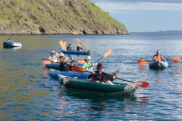 Galapagos Sea Star’s 5-Day Itinerary Day Two - Kayaking Excursion.