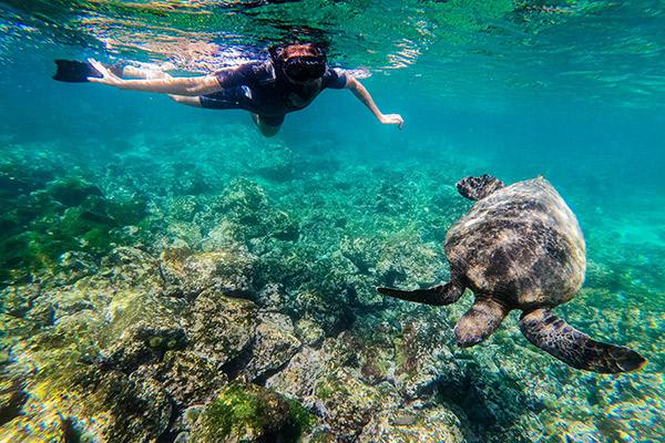 Nemo II's 5-Day Southern Islands Itinerary Day Four -  Snorkelling Excursion.