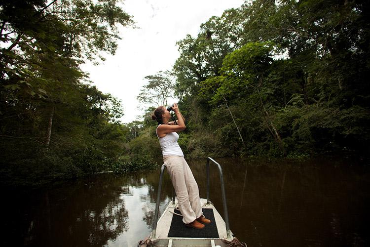 Delfin II Amazon’s 4-Day Itinerary Day Two - Spotting Wildlife. 