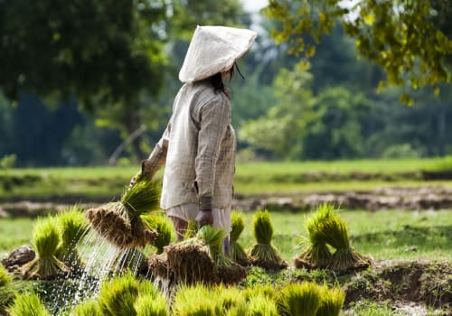 lady walking on a field