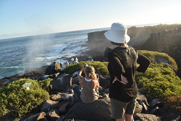Galapagos Sea Star’s 10-Day A+B Itinerary Day Two - Española Island.